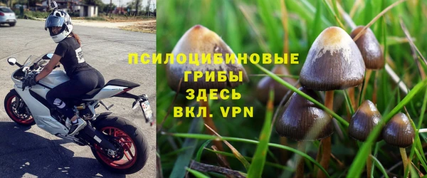 гидра Осинники